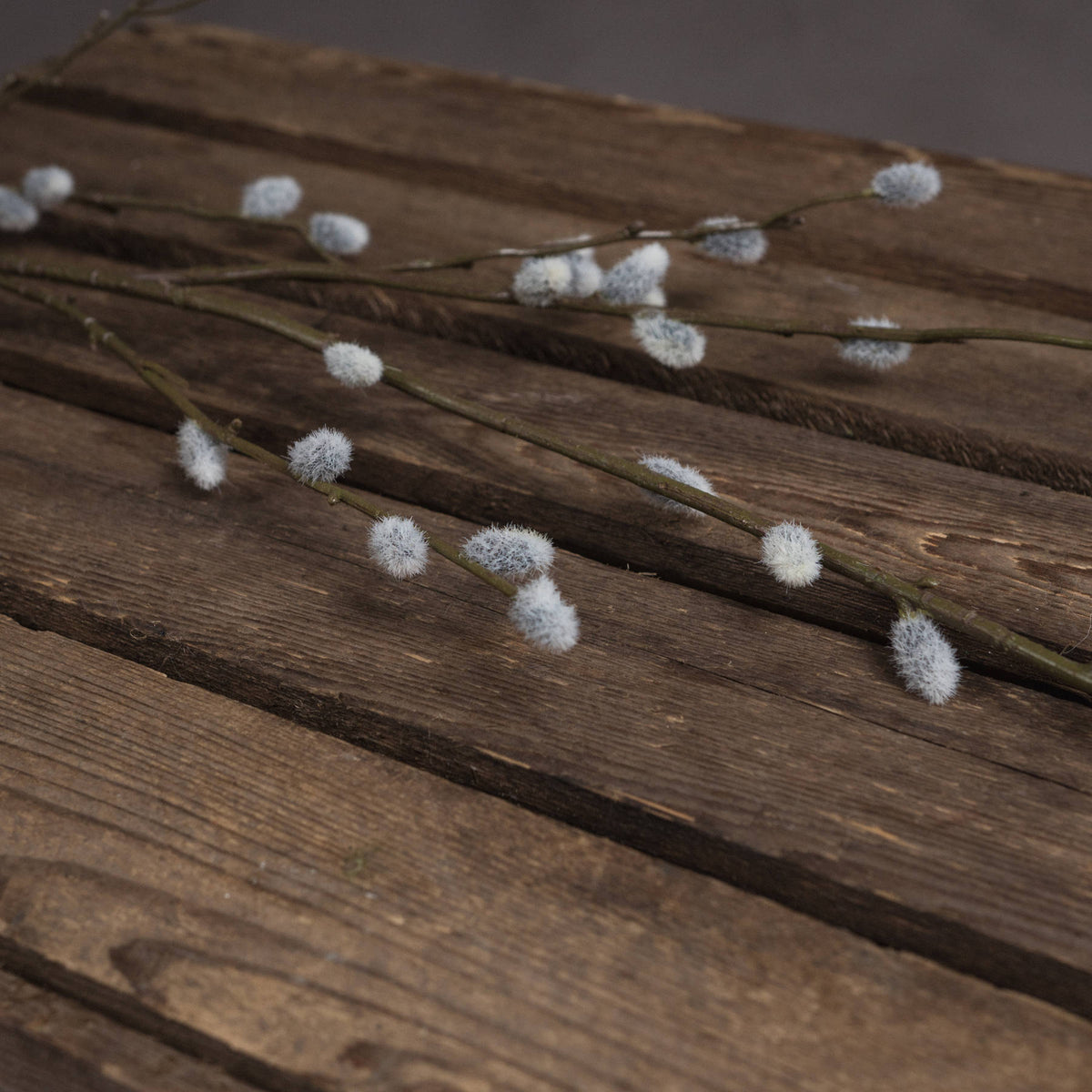 Close-up of pale grey, fuzzy-looking catkins along brown-green twigs laid across a rustic wooden surface.