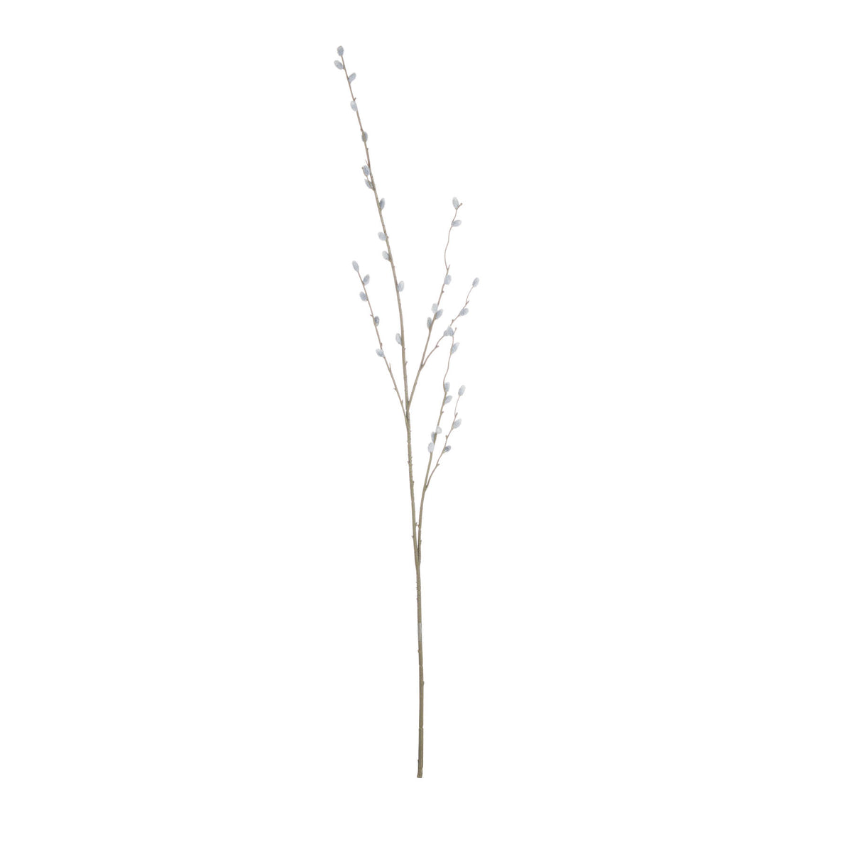 Full view of the Soft Catkin artificial stem, with slender brown-green branches and pale grey catkins against a white background.