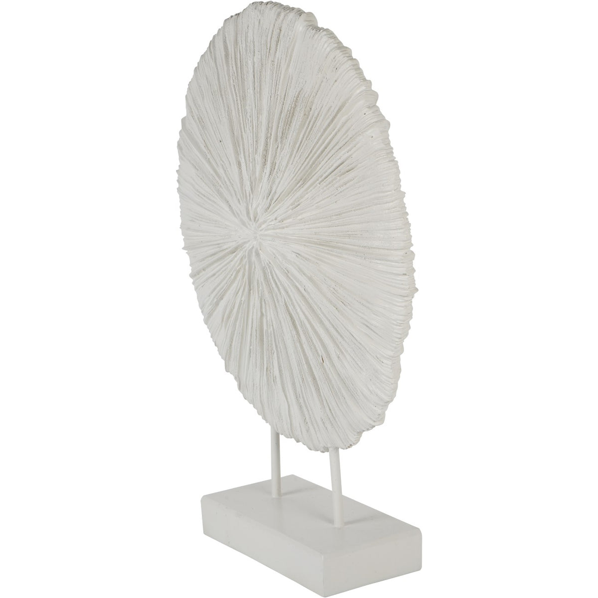 Angled view of the Solaris sculpture showing the disc's shallow profile, raised texture and white rectangular base.