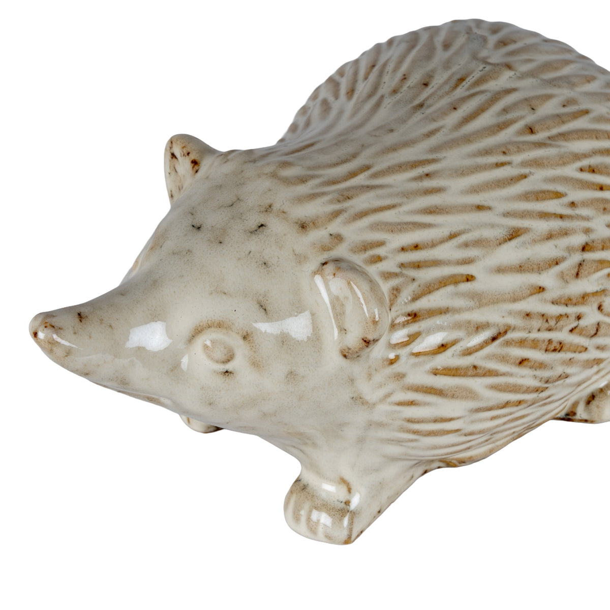Close-up from above of the hedgehog's speckled face and small ear beside the incised spine pattern, with reflections on the glossy finish.
