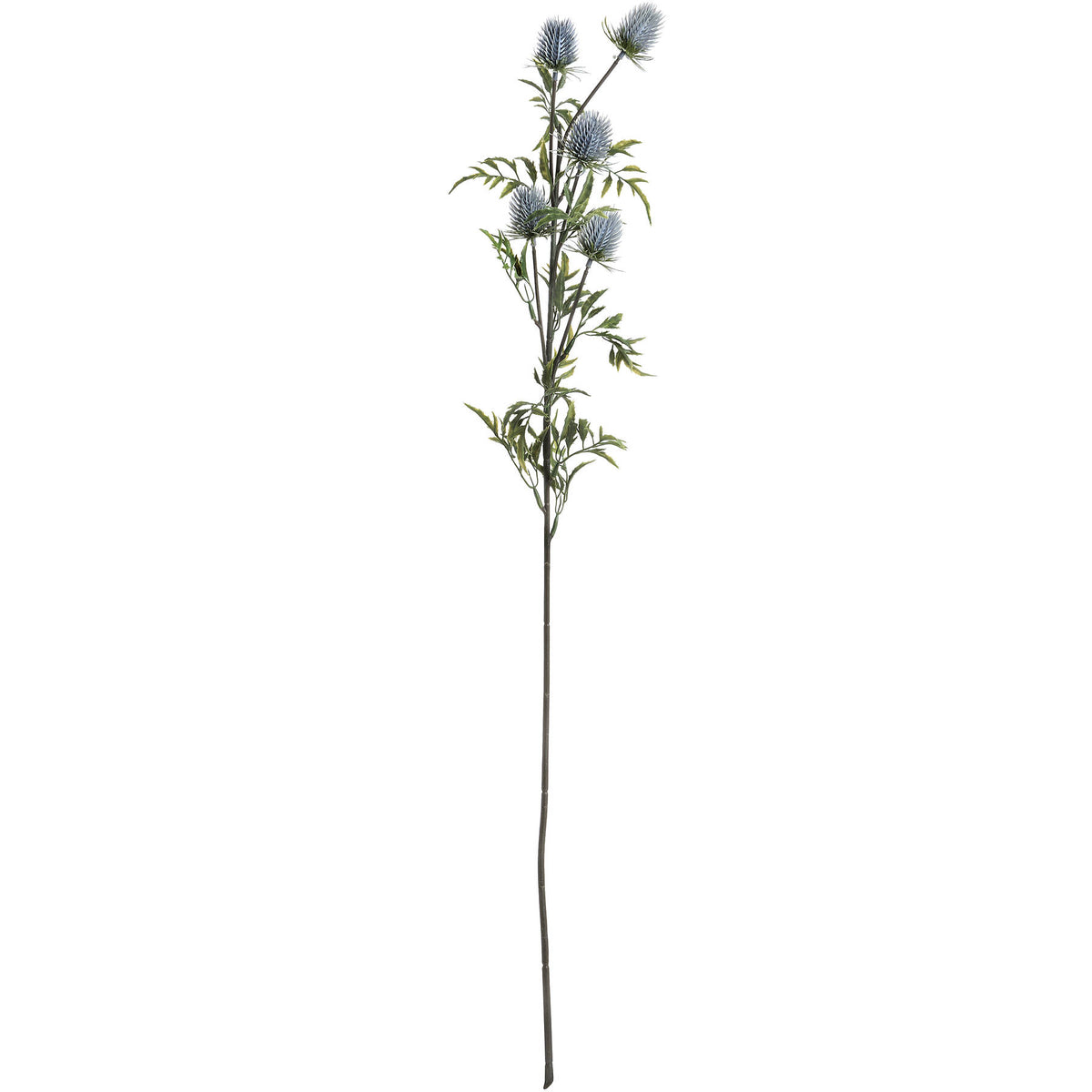 Full artificial thistle stem against white, with grey-blue oval heads branching above jagged green-grey leaves and a long dark stem.