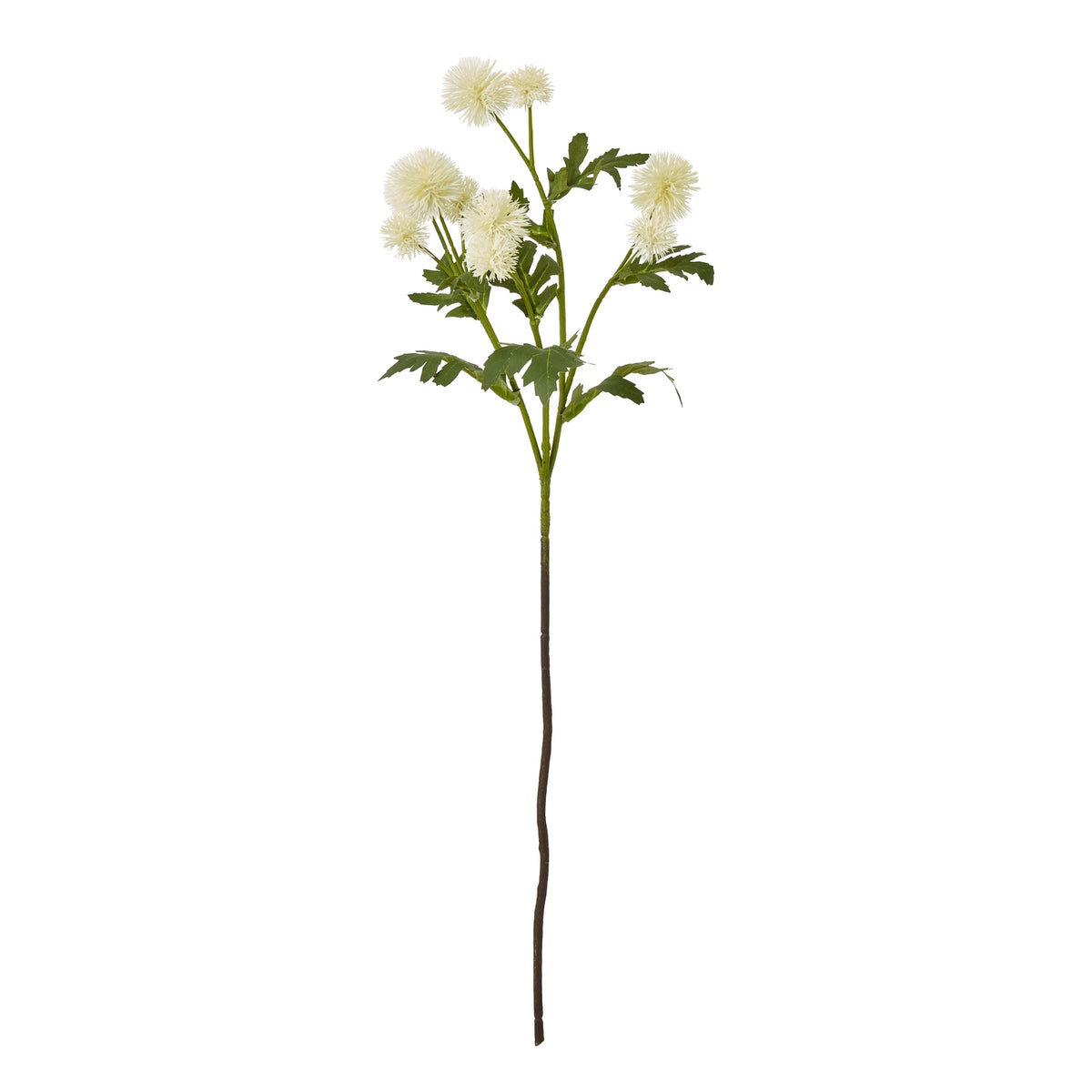 Full cream artificial thistle spray with rounded spiky heads, green leaves and a long brown stem against white.