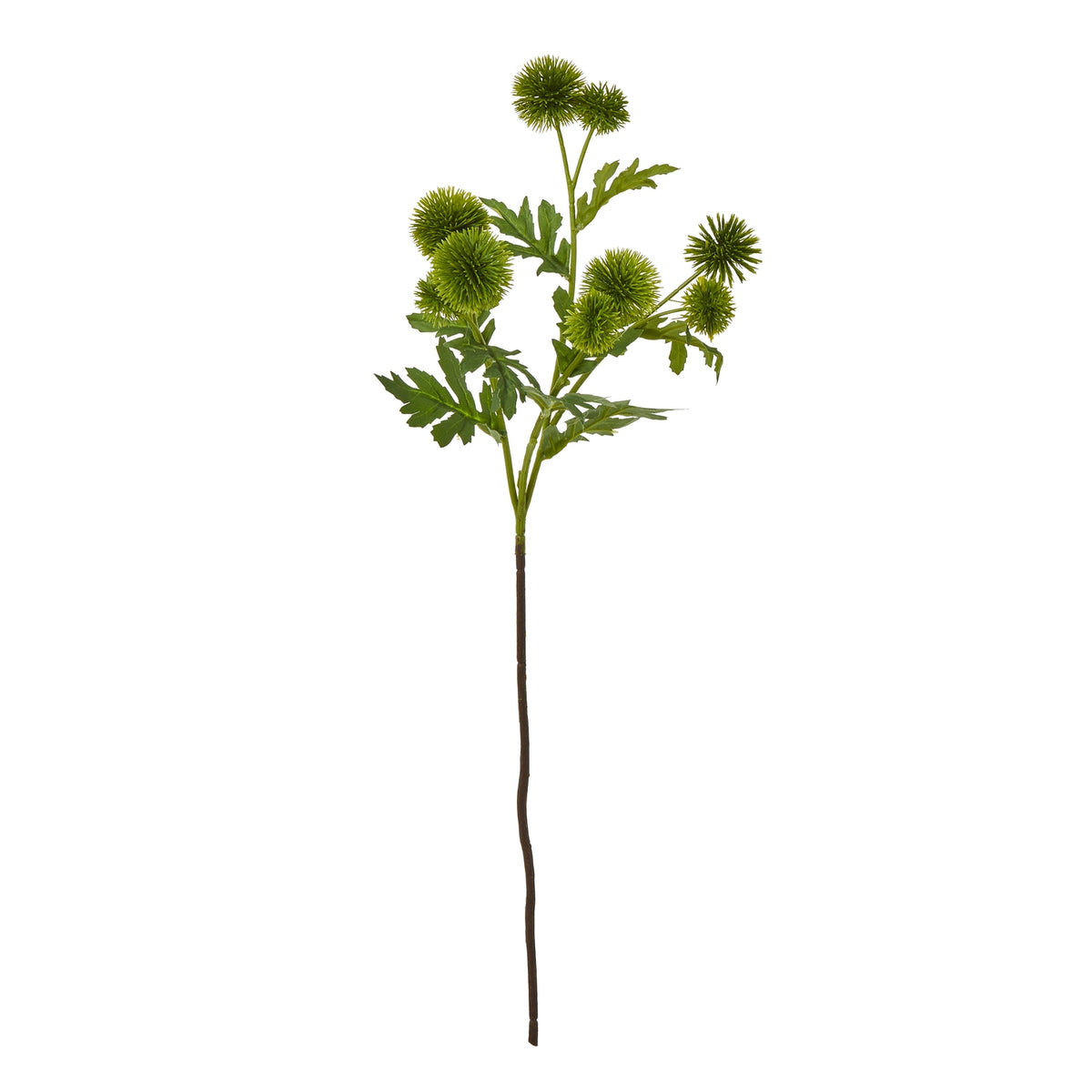 Full green artificial thistle spray with spiky round heads, leafy branches and a long brown lower stem against white.
