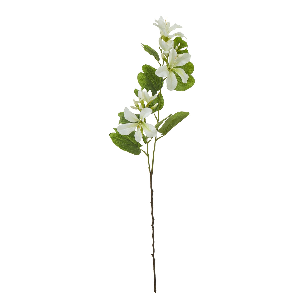 Full view of the Splitleaf Bloom artificial flower spray with a long slender stem, branching green leaves and cream-white flowers against a white background.