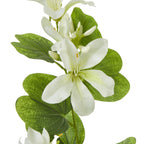 Close-up of an open cream-white flower with pale green shading and small yellow details, surrounded by broad split-shaped leaves with visible vein patterns.