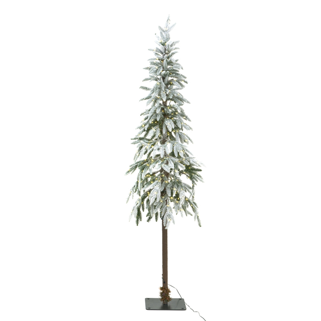 Full view of the snow-dusted green Christmas tree with small yellow lights glowing among its branches, above an exposed brown trunk and dark square base.