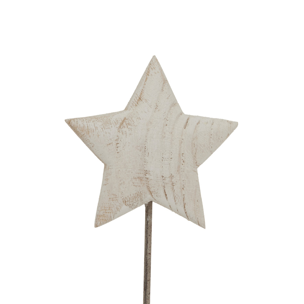 Close-up of the pale five-point star showing brown streaks and textured markings across its face, with the stem visible below.