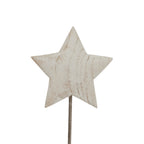 Close-up of the pale five-point star showing brown streaks and textured markings across its face, with the stem visible below.
