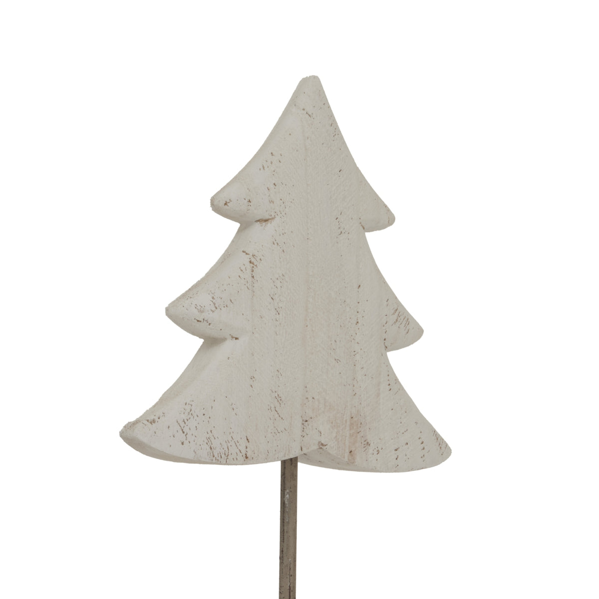 Close view of the pale fir silhouette showing its rounded branch tips and fine brown markings across the whitewashed surface.
