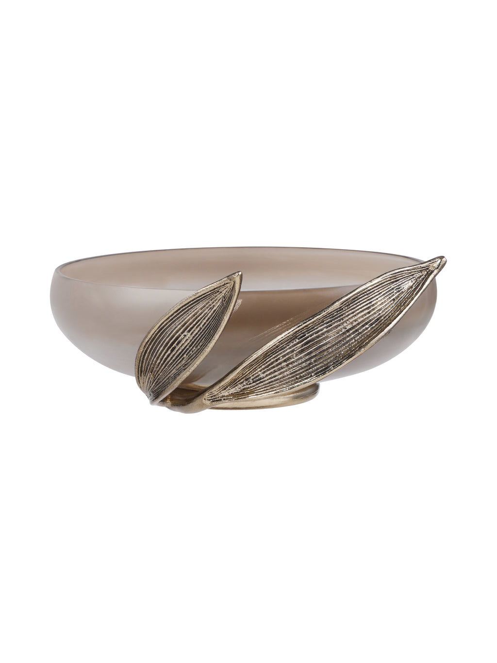 Side view showing the shallow glass bowl behind two elongated ribbed leaves of different lengths.