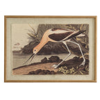Landscape framed print of a pale and dark long-legged bird bending beside the water, with a smaller bird in the distance and a tan-gold border.