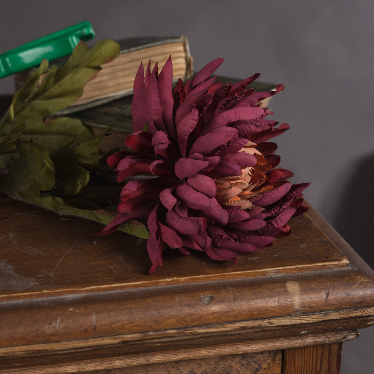 Close view of layered burgundy-purple petals and a tan-orange flower centre resting on a wooden tabletop, with green leaves and books behind.