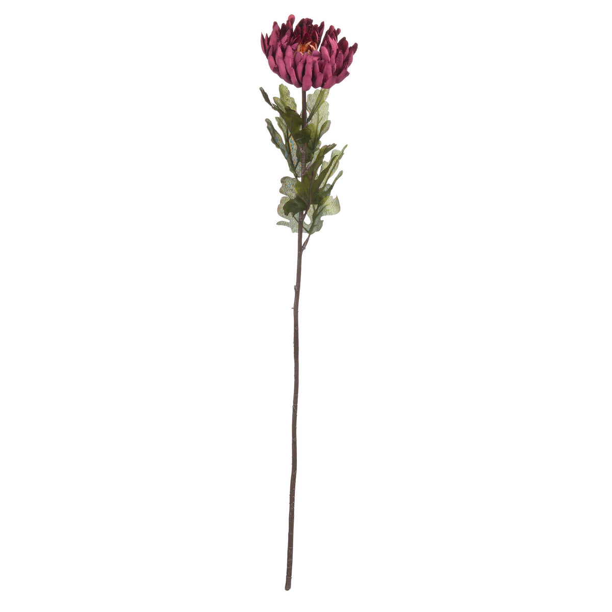 Full view of an artificial flower stem with a burgundy-purple bloom, lobed green leaves and a long brown stem on white.