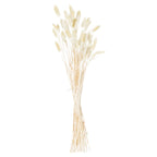 Full tied botanical bunch with long pale stems and scattered ivory and cream oval plumes against white.