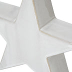 Close-up of the star's glossy pale surface, fine speckles and tan edging where the front face meets the deep sides.