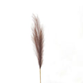 Taupe-brown artificial foliage stem with a narrow feathery plume, fine upward branching sprays and a long ochre-coloured stalk against white.