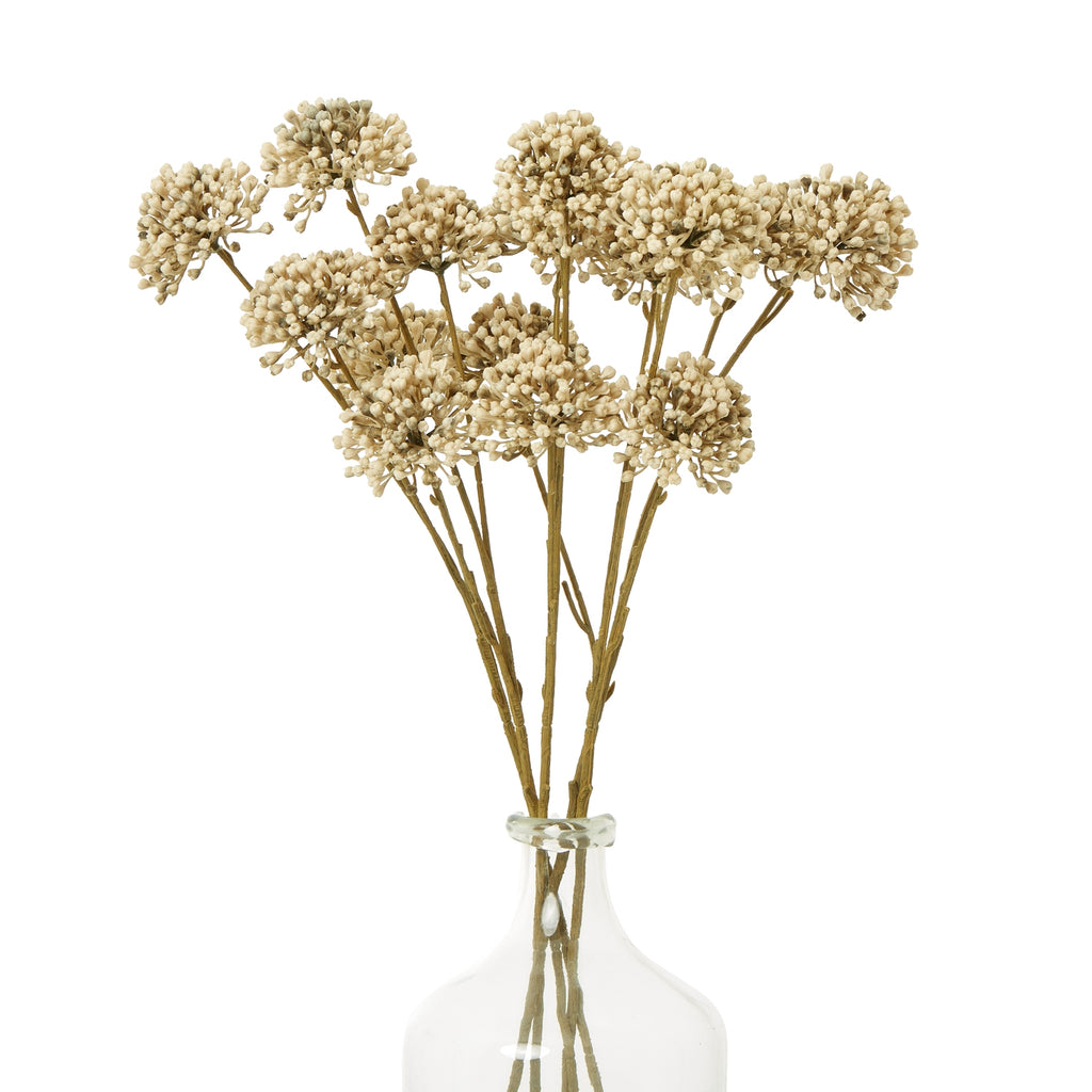 Several cream and tan botanical sprays grouped in a clear bottle-shaped vase against a white background.