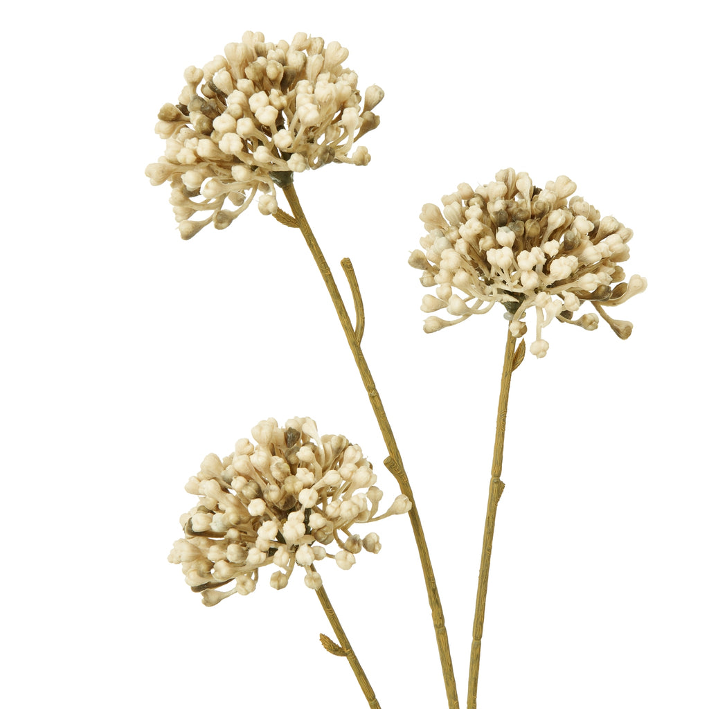 Close view of the spray's three bud-like clusters, showing pale cream tips, muted brown accents and ridged branching stems.