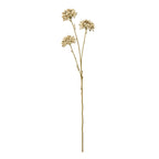 Full-length artificial botanical spray with three cream and tan rounded clusters on a slender brown-green branching stem against white.