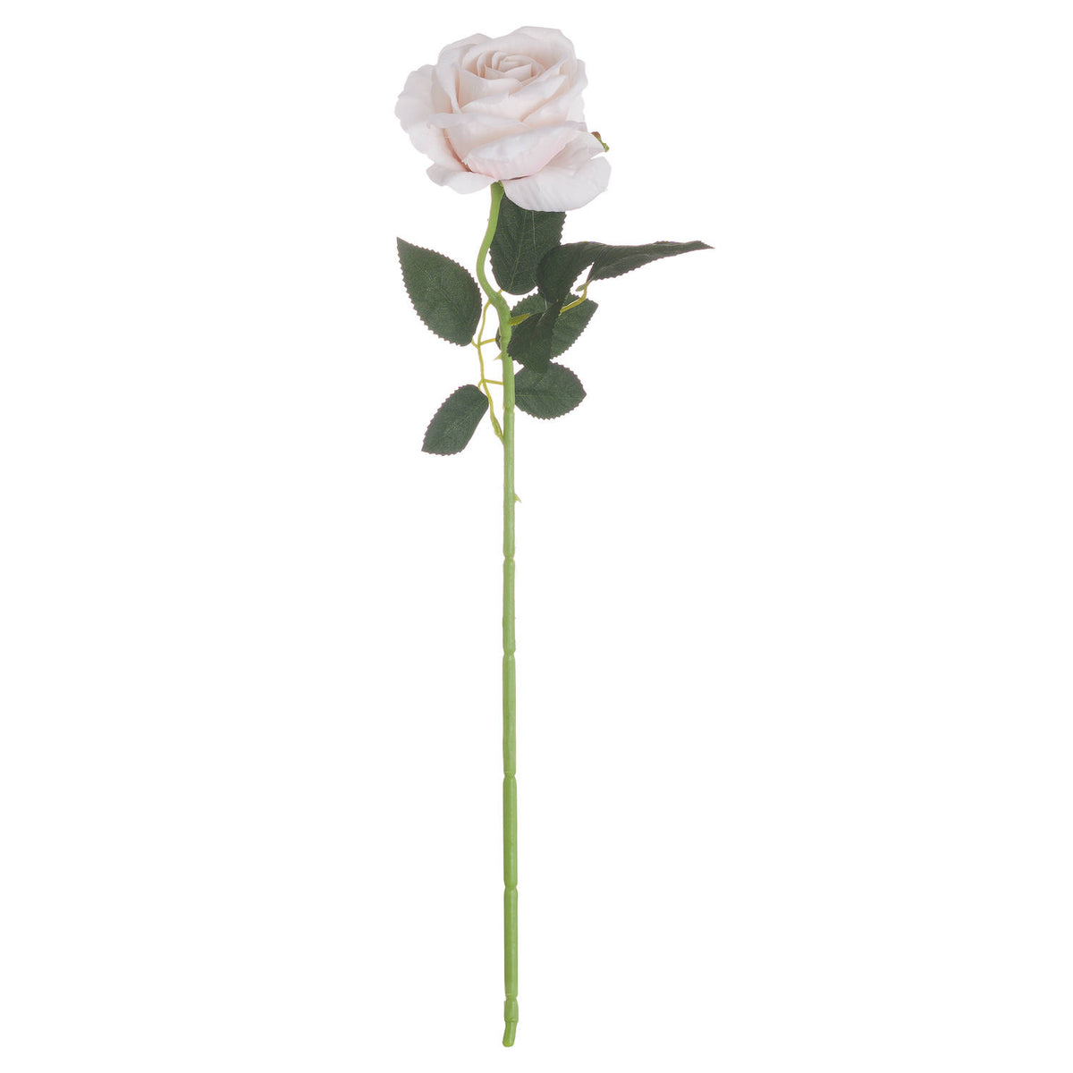 Full view of an artificial tea rose stem with a pale pink and ivory spiral bloom, dark serrated leaves and a long segmented green stalk on a white background.