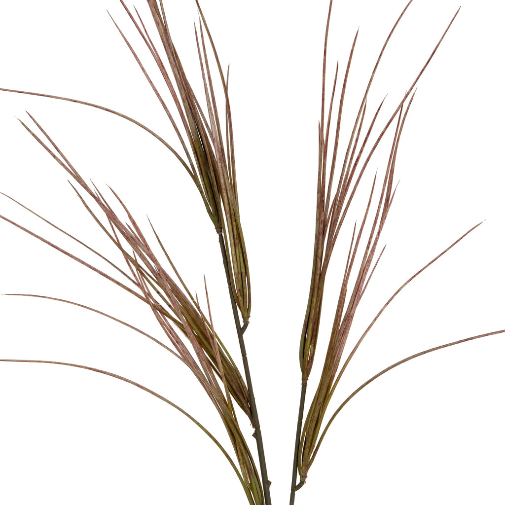 Close-up of the grass spray's pointed blades, showing mottled brown-purple and olive colouring and the slender branching stems.