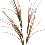 Close-up of the grass spray's pointed blades, showing mottled brown-purple and olive colouring and the slender branching stems.