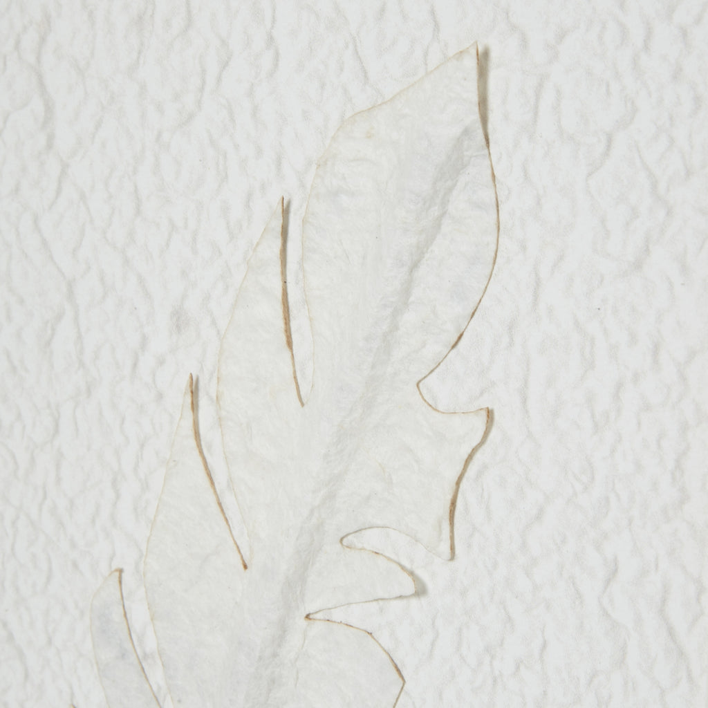 Close-up of a raised pale feather form with fine tan edges against the rippled white background.