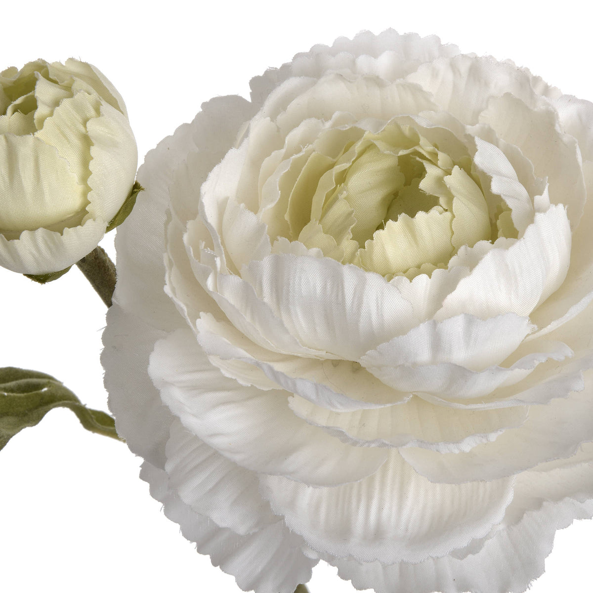 Close-up of the white flower's overlapping wavy-edged petals and cream-toned centre, with a pale bud at the left.