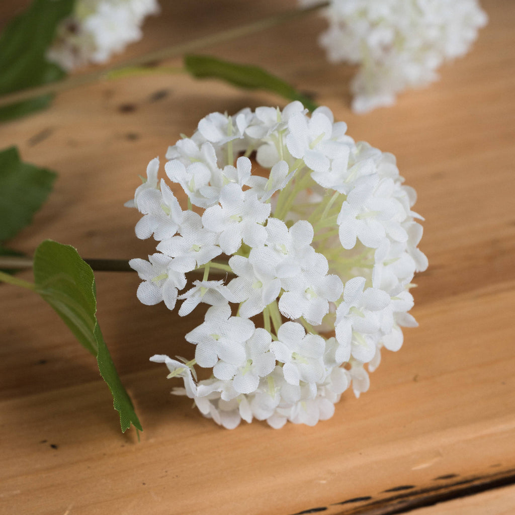 Close-up of a rounded white floret cluster showing textured petals and pale green centres beside green leaves on a wooden surface.