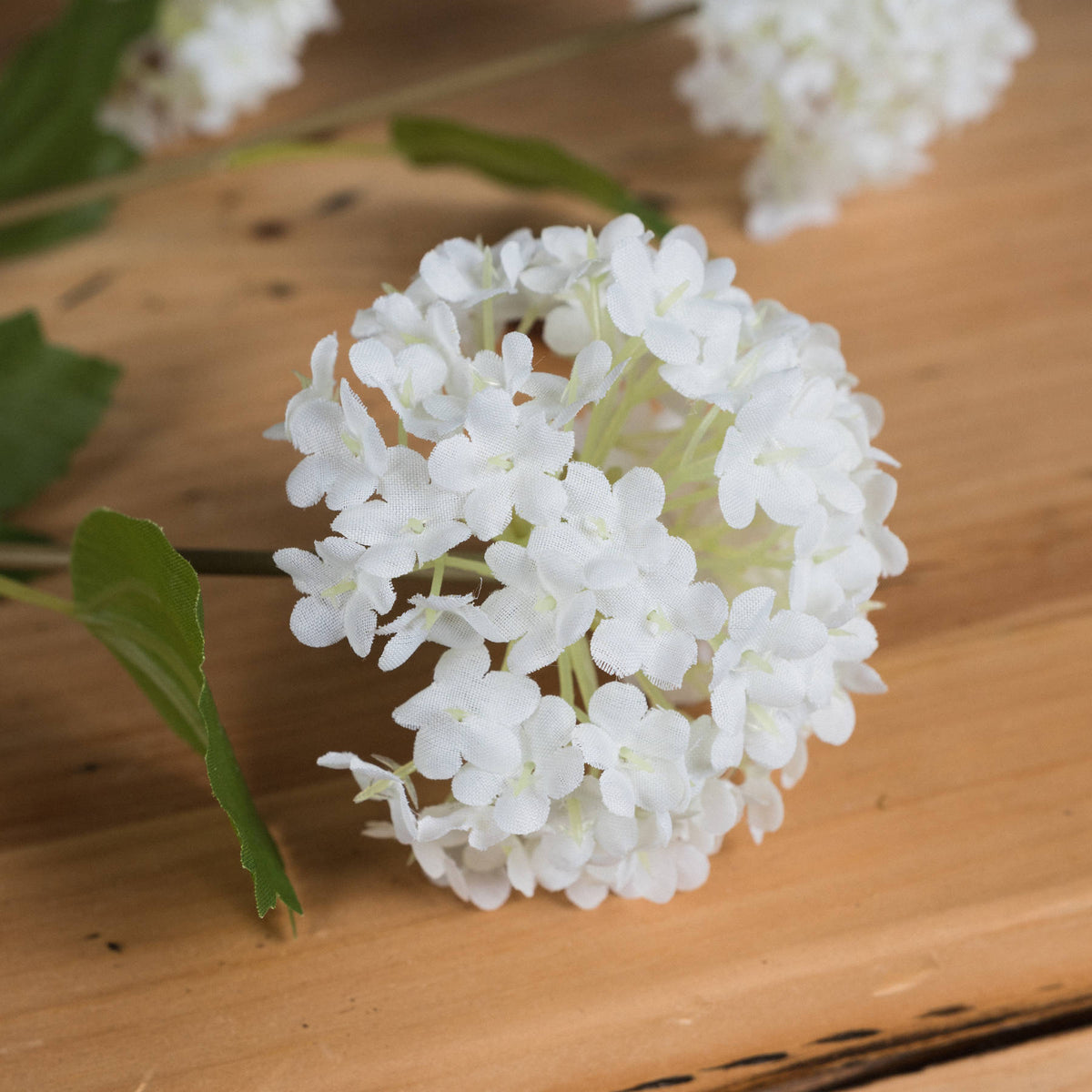 Close-up of a rounded white floret cluster showing textured petals and pale green centres beside green leaves on a wooden surface.