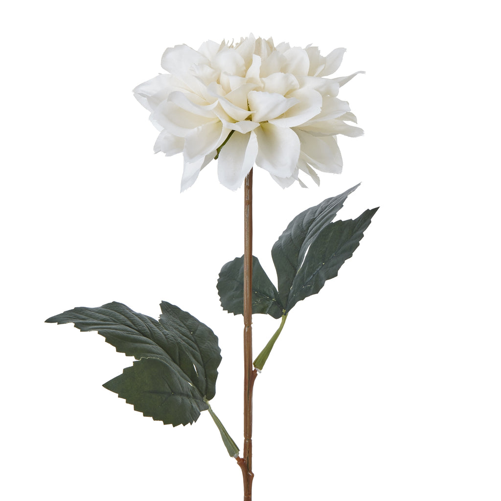 Close-up of the white and cream petal layers above a brown stem, with dark green leaves showing raised veins and serrated edges.