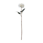 Full-length view of an artificial flower stem with a white layered bloom, dark green toothed leaves and a long brown stem against a white background.
