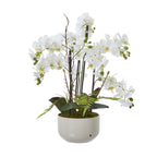 Full view of the artificial white orchid arrangement with branching flower sprays, green buds, brown twigs and layered foliage in a low off-white pot.