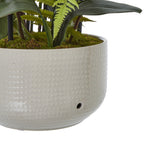 Detail of the rounded off-white pot showing its fine textured surface and a small dark opening, beneath moss-like covering and arching green leaves.