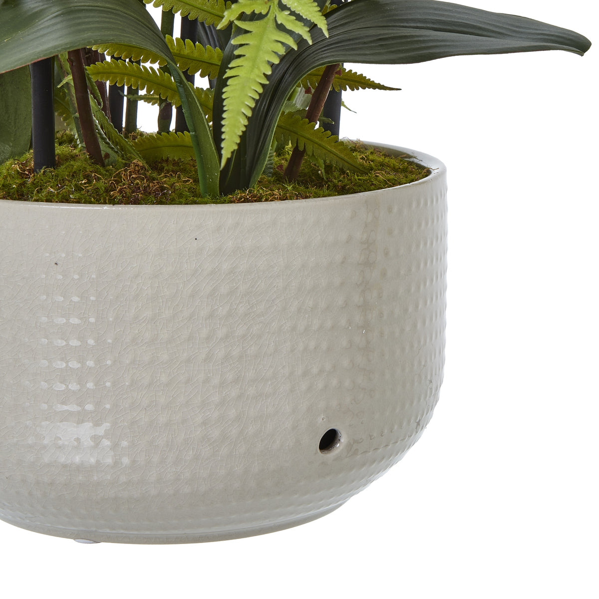 Detail of the rounded off-white pot showing its fine textured surface and a small dark opening, beneath moss-like covering and arching green leaves.