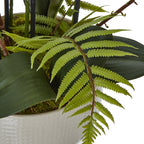 Bright green fern-like fronds spread over dark broad leaves, with brown twig accents and black support stakes behind them.