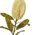 Close-up of the cream brush head, showing densely packed strands above veined olive leaves with serrated edges.