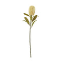 Full-length Upright Creambrush artificial stem with a cream oval brush head and olive leaves against white.