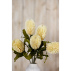 Closer view of cream brush heads and olive foliage above the neck of a white vase, with pale wood in the background.