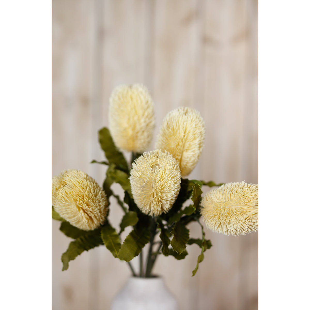 Closer view of cream brush heads and olive foliage above the neck of a white vase, with pale wood in the background.