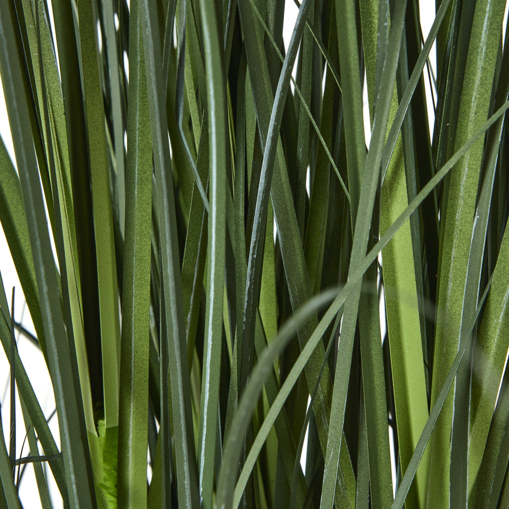 Detail of overlapping narrow green leaves with lighter central lines and varied green shading.