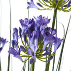 Close-up of blue-violet flowers and darker closed buds branching from green stems, with fine upright leaves behind.