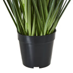 Close-up of the tapered black nursery-style pot and the dense green foliage rising from its wide rim.