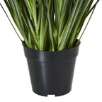 Close-up of the tapered black nursery-style pot with a broad rim and dense green leaves emerging from the top.