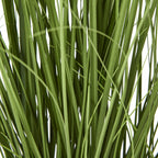 Detail of textured green straplike leaves interspersed with thin, crossing blades of foliage.