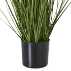 Smooth black pot beneath a dense gathering of long green leaves and finer stems.