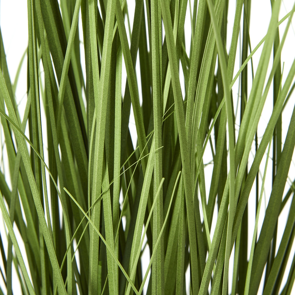 Close-up of overlapping green leaf blades with fine strands crossing between them.