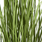 Close-up of overlapping green leaf blades with fine strands crossing between them.