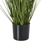 Lower green foliage emerging from a smooth black pot, with a small area of brown surface visible around the stems.