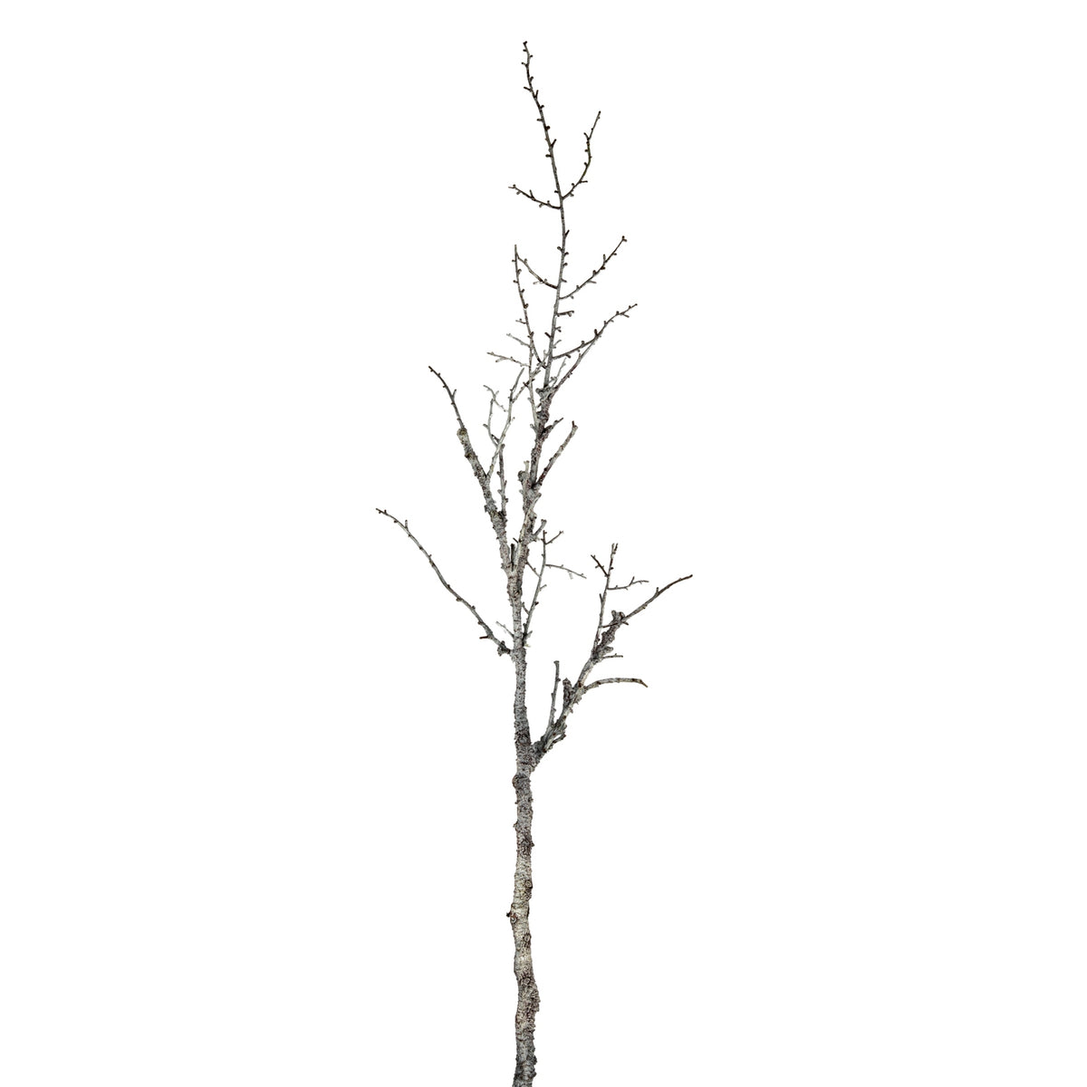 Tall artificial twig stem on a white background, with a thick textured lower section and fine bare branches reaching upwards.